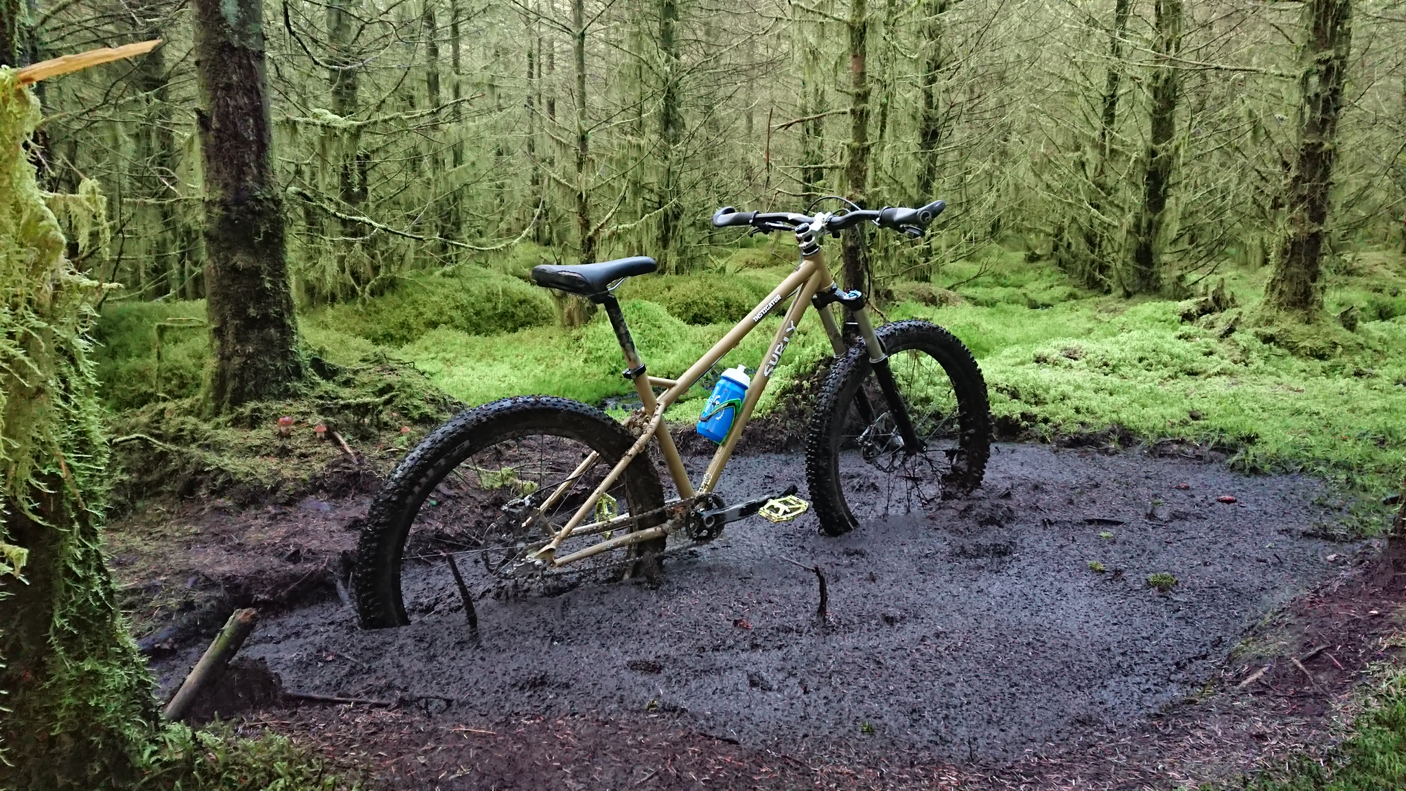 Surly Bog Bike